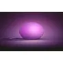 Philips Hue White & Col. Amb. Flourish Tischleuchte weiß 806lm