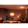 Philips Hue White & Col. Amb. Flourish Pendelleuchte weiß 3000lm