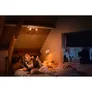 Philips Hue White Amb. Runner Spot 2 flg. Weiß 2x350lm inkl. Dimmschalter