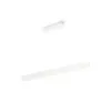 Philips Hue White & Color Ambiance Ensis Pendelleuchte wh, inkl. Bridge V2
