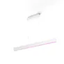 Philips Hue White & Color Ambiance Ensis Pendelleuchte wh, inkl. Bridge V2