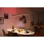 Philips Hue White & Color Ambiance Ensis inkl. Dimmschalter V2 & Bridge V2