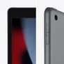 Apple iPad 10,2" 9th Generation Wi-Fi 256 GB Space Grau MK2N3FD/A