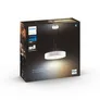 Philips Hue White Amb. Fair Pendelleuchte BT weiß 3000lm Dimmschalter