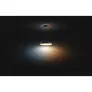 Philips Hue White Amb. Amaze Pendelleuchte BT schwarz 3000lm Dimmschalter