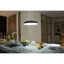 Philips Hue White Amb. Amaze Pendelleuchte BT schwarz 3000lm Dimmschalter