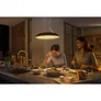 Philips Hue White Amb. Amaze Pendelleuchte BT schwarz 3000lm Dimmschalter