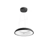 Philips Hue White Amb. Amaze Pendelleuchte BT schwarz 3000lm Dimmschalter