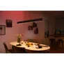 Philips Hue White & Color Ambiance Ensis schwarz inkl. Dimmschalter V2 & Bridge