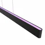 Philips Hue White & Color Ambiance Ensis schwarz inkl. Dimmschalter V2 & Bridge