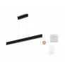Philips Hue White & Color Ambiance Ensis schwarz inkl. Dimmschalter V2 & Bridge