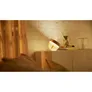 Philips Hue White & Col. Amb. Iris Tischleuchte Special Edition silber 570lm