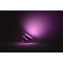 Philips Hue White & Col. Amb. Iris Tischleuchte Special Edition silber 570lm