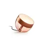 Philips Hue White & Col. Amb. Iris Tischleuchte Special Edition kupfer 570lm
