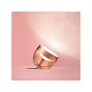 Philips Hue White & Col. Amb. Iris Tischleuchte Special Edition kupfer 570lm