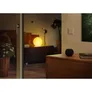 Eve Aqua - smarte Bewässerungssteuerung Apple HomeKit Thread