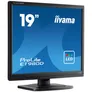 iiyama ProLite E1980D-B1 48cm (19") SXGA TN LED-Monitor DVI VGA