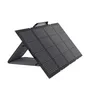 EcoFlow 220W tragbares Solar Panel IP68 mit Tasche