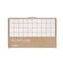 EcoFlow 160W tragbares Solar Panel IP68 mit Tasche