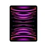 Apple iPad Pro 12,9" 2022 Wi-Fi 128 GB Space Grau 3K904FD/A DEMO