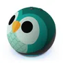Amazon Echo Dot (5. Gen.) Kids smarter Lautsprecher mit Alexa Eulen-Design