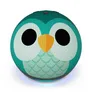 Amazon Echo Dot (5. Gen.) Kids smarter Lautsprecher mit Alexa Eulen-Design