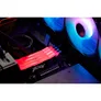 16GB (1x16GB) KINGSTON FURY Renegade RGB DDR5-7200 CL38 RAM Arbeitsspeicher