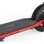 Ninebot KickScooter D38D by Segway mit Straßenzulassung