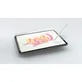 Paperlike Displayschutz für iPad 10,9 Zoll (2022)