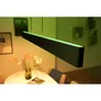 Philips Hue White & Color Ambiance Ensis Pendelleuchte sw, inkl. Dimmschalter V2