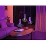 Philips Hue White & Col. Amb. Lightguide Ellipse 500l 6,5W, 2er Pack