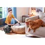 Bissell 37252 SpotClean Pet Pro Plus Tragbarer Fleckenreiniger