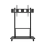 Celexon Adjust-55120MP Professional höhenverstellbarer Displayrollwagen