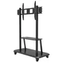 Celexon Adjust-55120MP Professional höhenverstellbarer Displayrollwagen