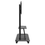 Celexon Adjust-55120MP Professional höhenverstellbarer Displayrollwagen