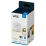 WiZ Smart Plug powermeter Type-F Steckdose weiß