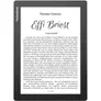 PocketBook InkPad Lite Mist Grey eReader mit 150 DPI 8GB