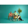 WiZ Portable Tunable White & Color 400lm Einzelpack
