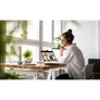 Jabra Evolve2 50 MS Stereo USB Headset schwarz USB-A
