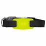 case-mate Hundehalsband Halterung Apple AirTag schwarz