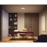Philips Hue White & Color Ambiance Surimu Deckenleuchte weiß • rund