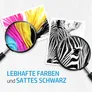 HP 62 N9J71AE Twin Pack Original Druckerpatronen 2er Pack (BK, C, M, Y)