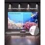AWOL Vision Cinematic ALR Beamer Leinwand, 100" 223,4 x 126,5 x 2,5cm