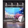 AWOL Vision Cinematic ALR Beamer Leinwand, 150" 331,9 x 186,7 x 2,5 cm