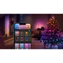 Philips Hue Set Wh. & Col. Amb. Festavia Lichterkette 20m + Smart Plug