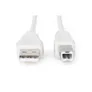 DIGITUS USB 2.0 Anschlusskabel, Typ A - B St/St, 1.8m beige