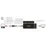 Delock Adapter USB Type-C™ Stecker  VGA / HDMI / DVI / DisplayPort Buchse