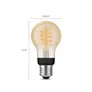 Philips Hue White Ambiance E27 Einzelpack Filament 550lm