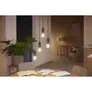 Philips Hue White Ambiance E27 Einzelpack Filament 550lm
