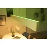 Philips Hue White & Color Ambiance Ensis Deckenleuchte Pendelleuchte weiß